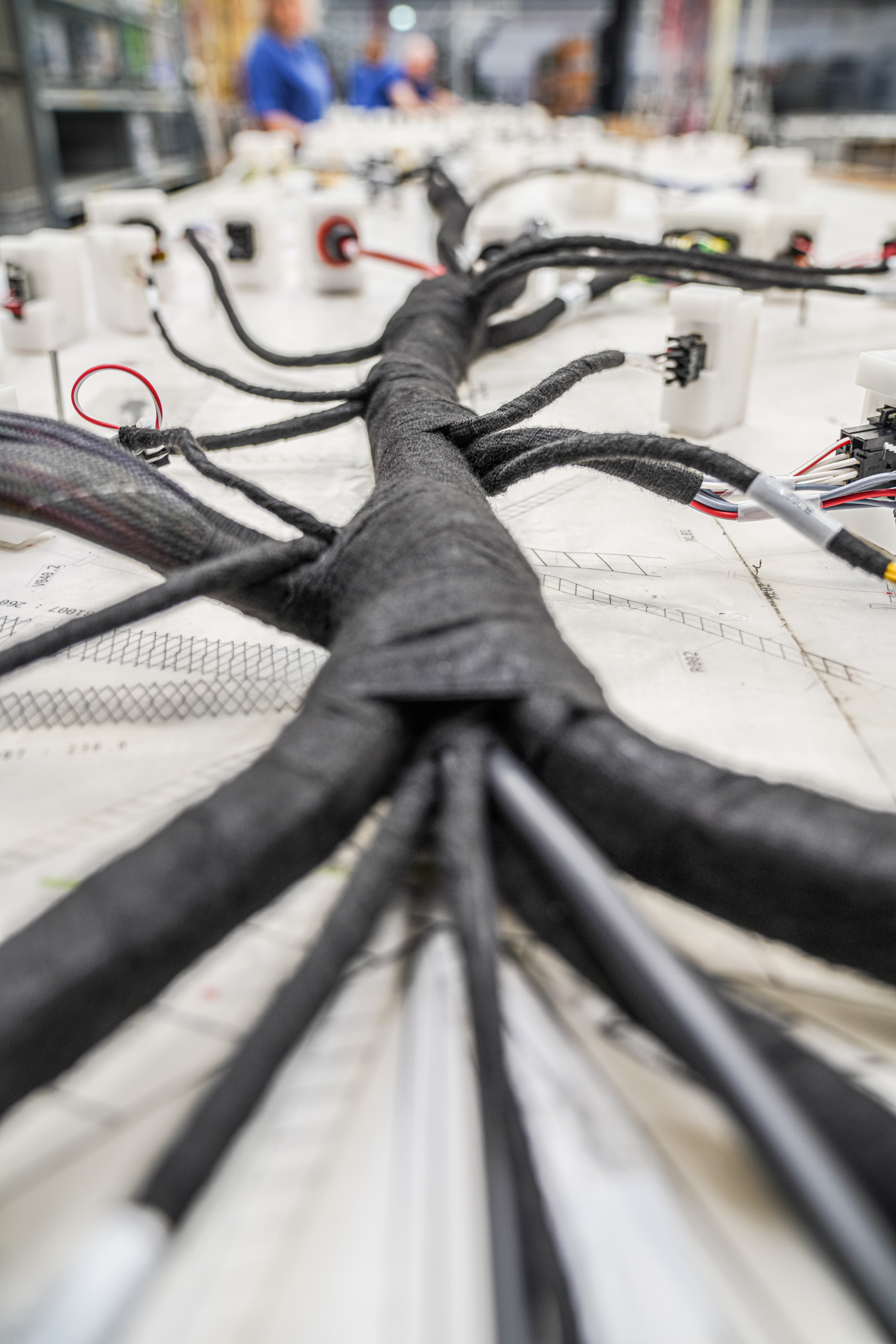AQ Wiring Systems Wiring Harness